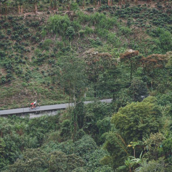 Road bike tour in Medellin